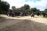 p0001764.jpg